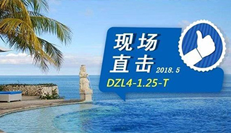 現(xiàn)場直擊丨看生物質鍋爐在巴厘島如何強操作，回頭客非它不選