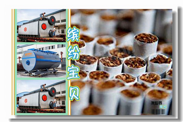 國(guó)內(nèi)鍋爐廠家有哪些？如何選擇？