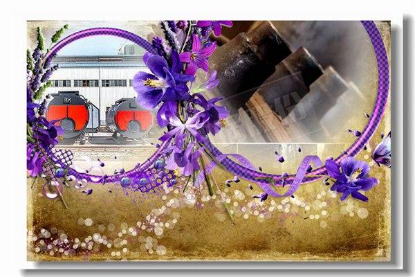 蒸氣節(jié)能鍋爐報(bào)價(jià)找哪家更專業(yè)？